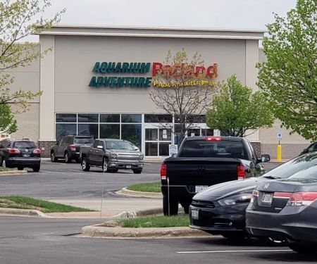 Petland Bolingbrook