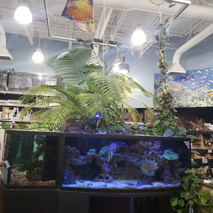 Petland Bolingbrook Picture 7