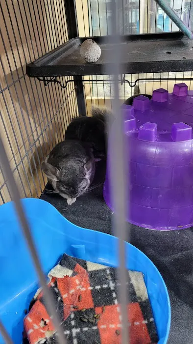 Petland Bolingbrook Picture 4