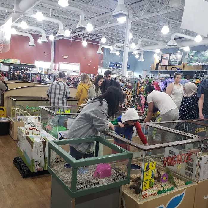 Petland Bolingbrook Picture 6