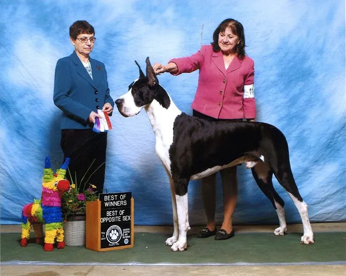 Pennsylvania Animal Wellness and Surgery Picture 2