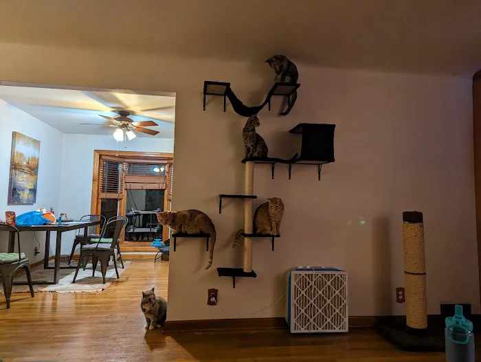 Pennsylvania Animal Wellness and Surgery Picture 7