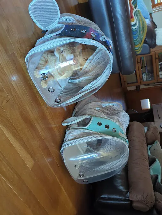 Pennsylvania Animal Wellness and Surgery Picture 3