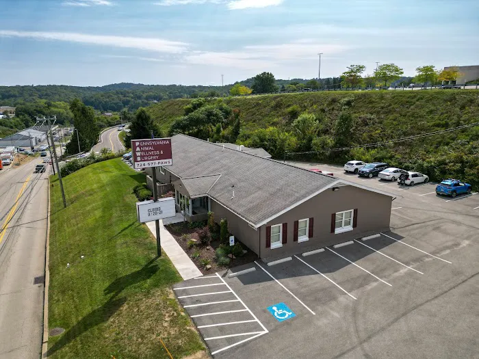 Pennsylvania Animal Wellness and Surgery Picture 1