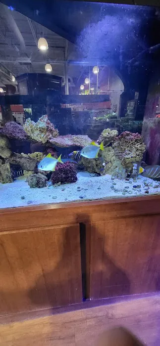 Aquarium Adventure Picture 5