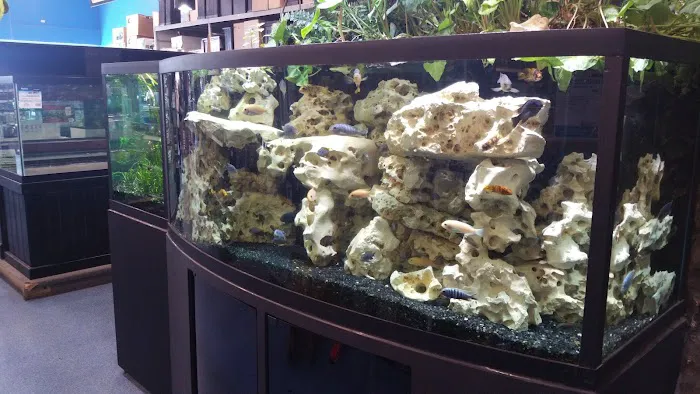 Aquarium Adventure Picture 1