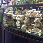 Aquarium Adventure