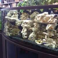 Aquarium Adventure ico