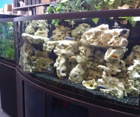 Aquarium Adventure