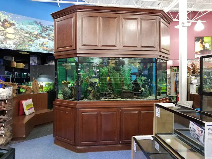 Aquarium Adventure Picture 2