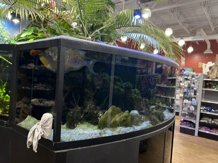 Aquarium Adventure Picture 9