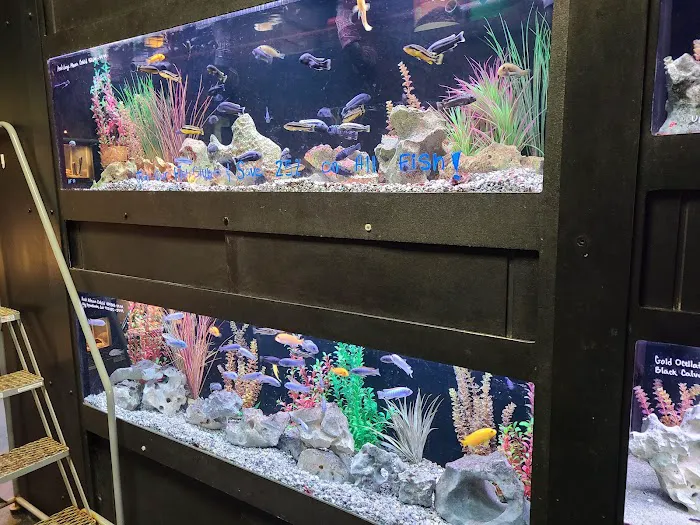 Aquarium Adventure Picture 4