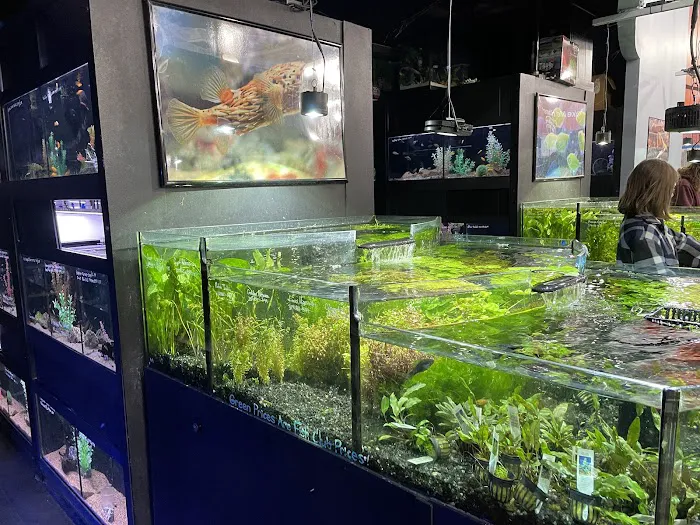 Aquarium Adventure Picture 7