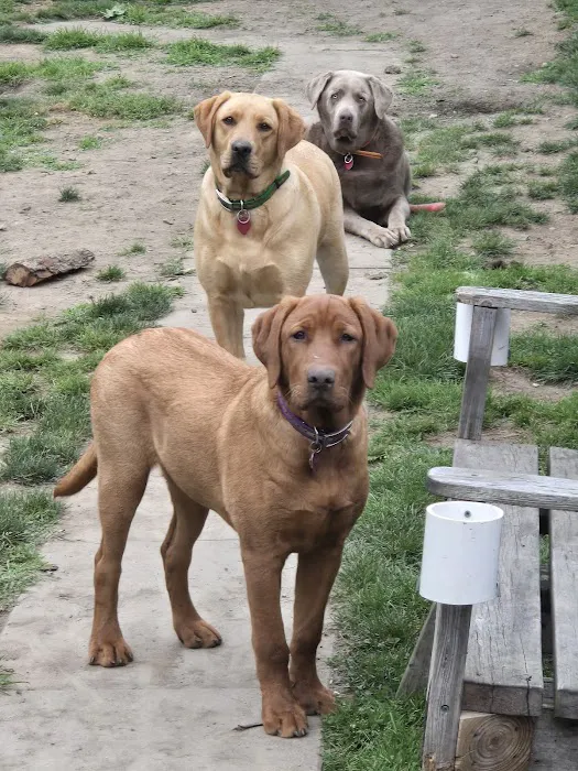 Five Point Vet Services Picture 8