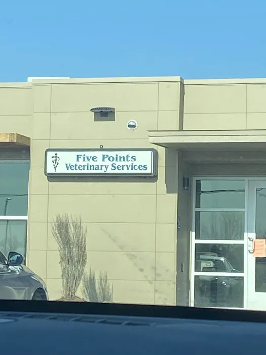 Five Point Vet Services Picture 4