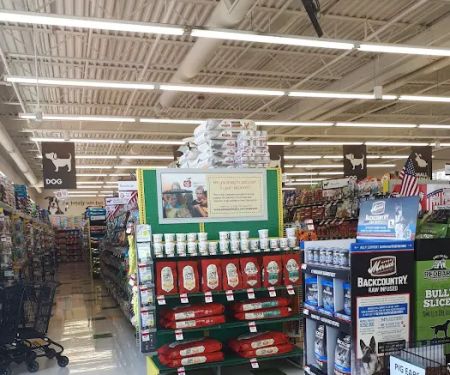 Pet Supplies Plus Bolingbrook