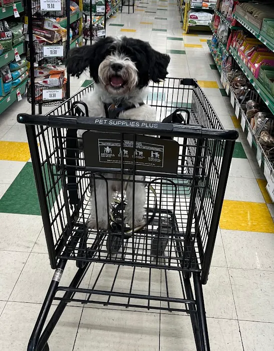 Pet Supplies Plus Bolingbrook Picture 10
