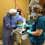K. Vet Animal Care