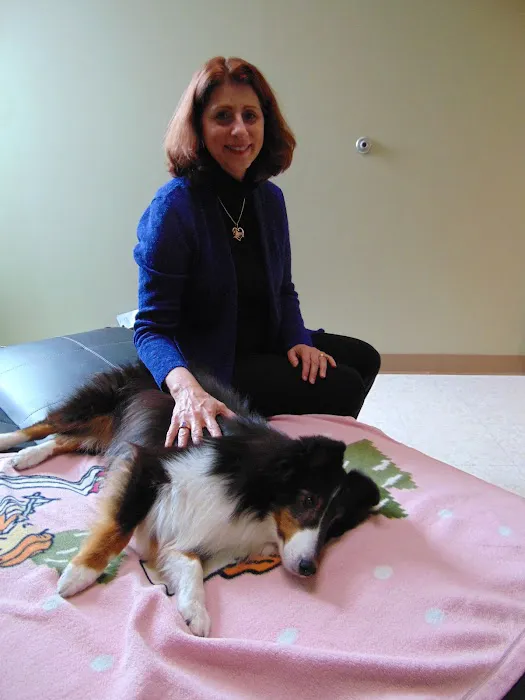 K. Vet Animal Care Picture 3