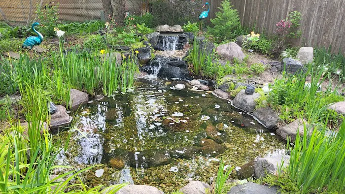 DuPage Aquatics Picture 6