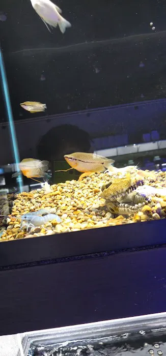 AquaticHQ Picture 6