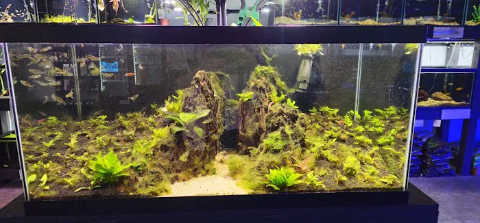 AquaticHQ Picture 5