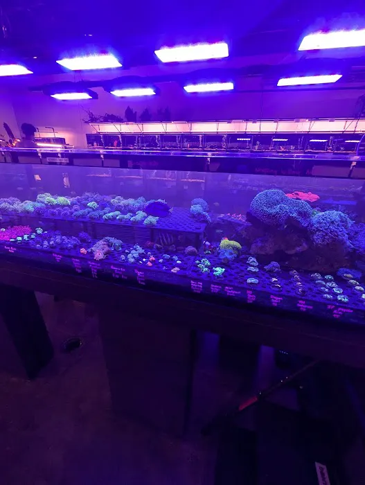 AquaticHQ Picture 8