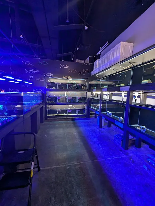 AquaticHQ Picture 1