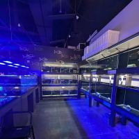 AquaticHQ ico