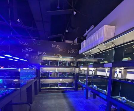 AquaticHQ
