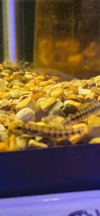 AquaticHQ Picture 2