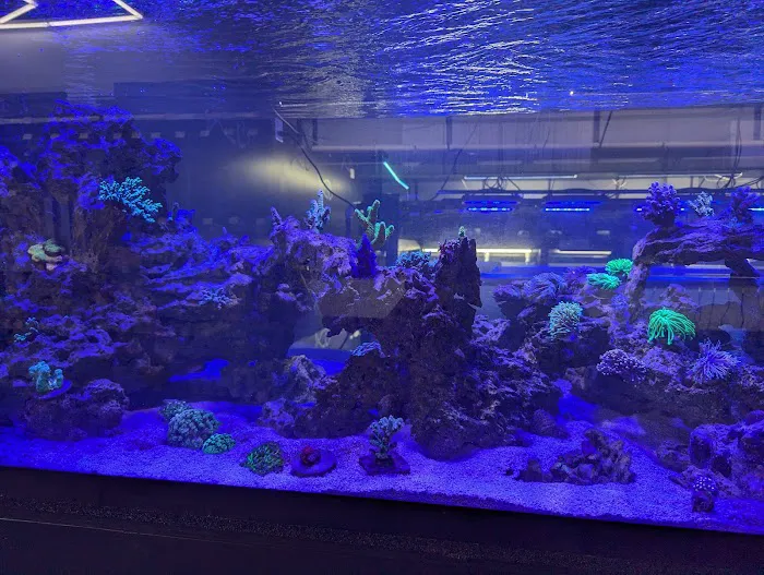 AquaticHQ Picture 3