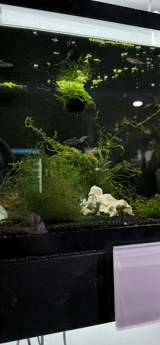AquaticHQ Picture 4