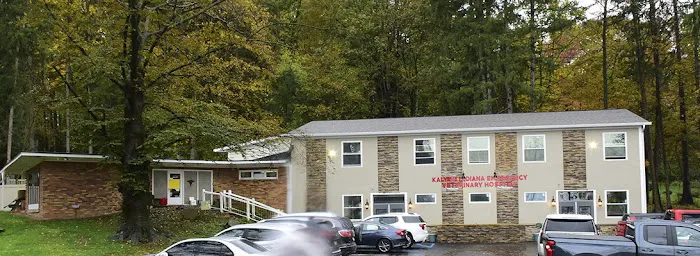 Kalyani Indiana Emergency Veterinary Hospital Picture 2