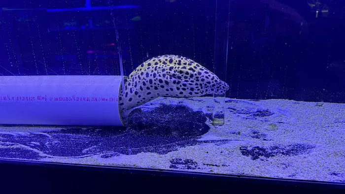 Reefwise Picture 8