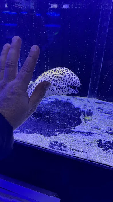 Reefwise Picture 1