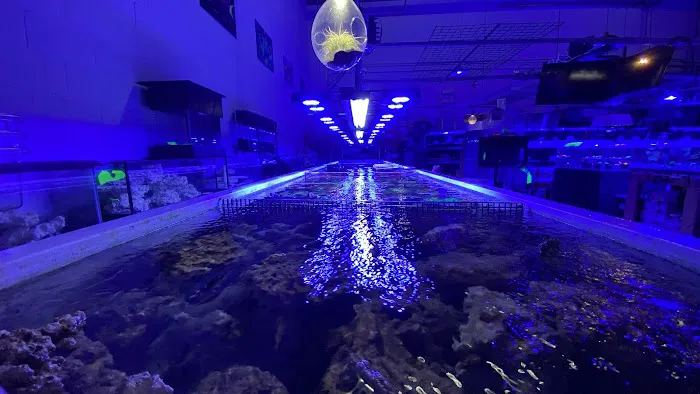 Reefwise Picture 3