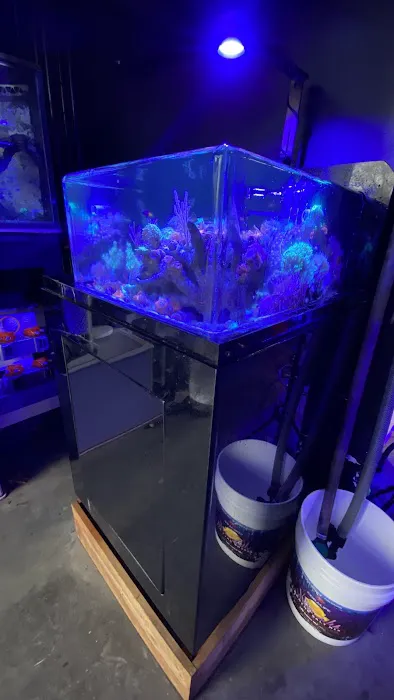 Reefwise Picture 4