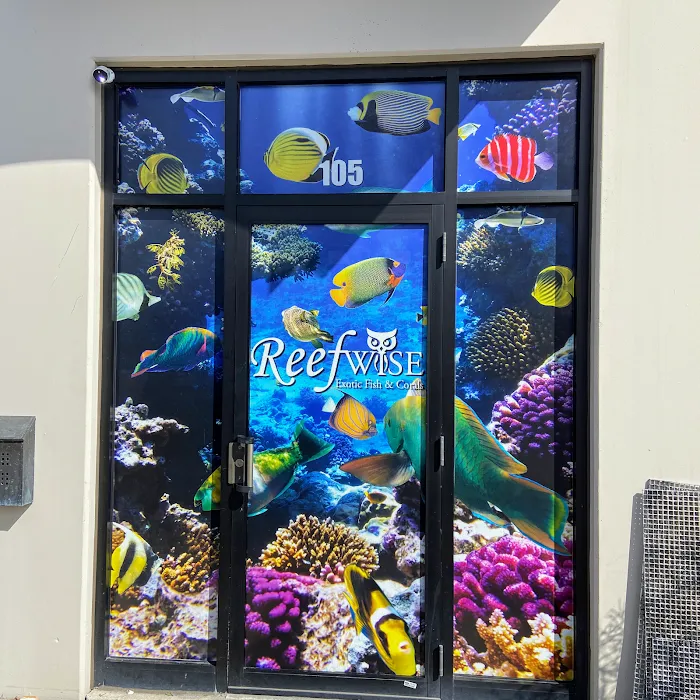 Reefwise Picture 10