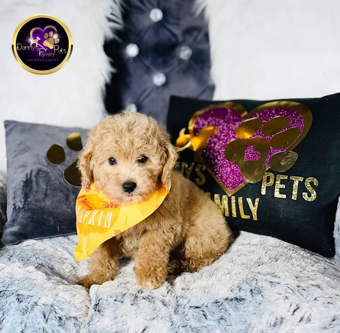 Danny's Family Pets and Accessories Picture 1