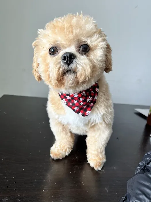 Danny's Family Pets and Accessories Picture 4