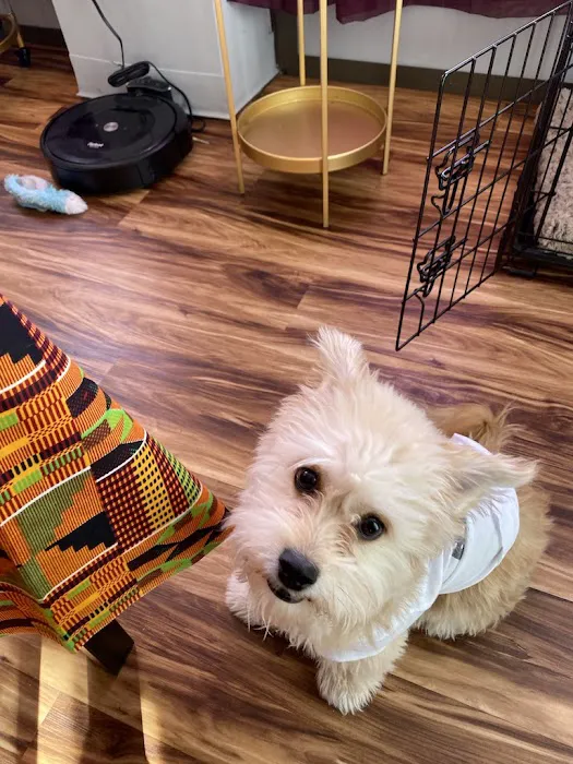 Danny's Family Pets and Accessories Picture 8