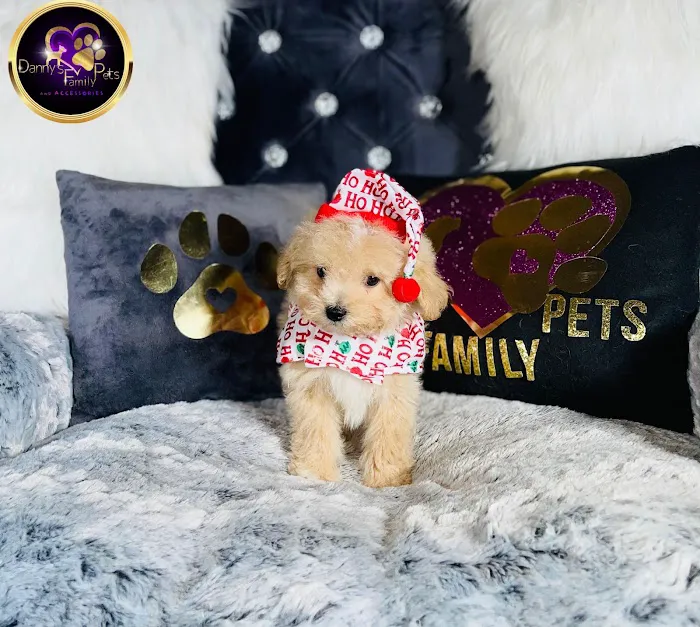 Danny's Family Pets and Accessories Picture 10