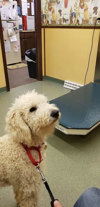 Delmont Veterinary Hospital Picture 1