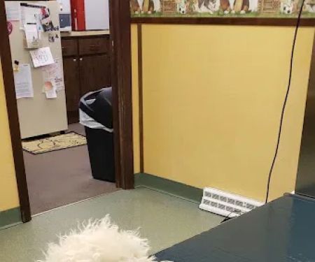 Delmont Veterinary Hospital