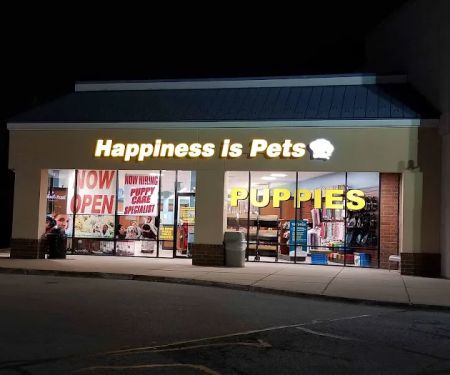 Happiness is Pets
