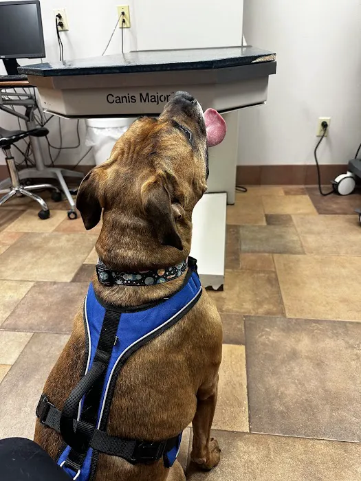 Pineview Veterinary Hospital Picture 7