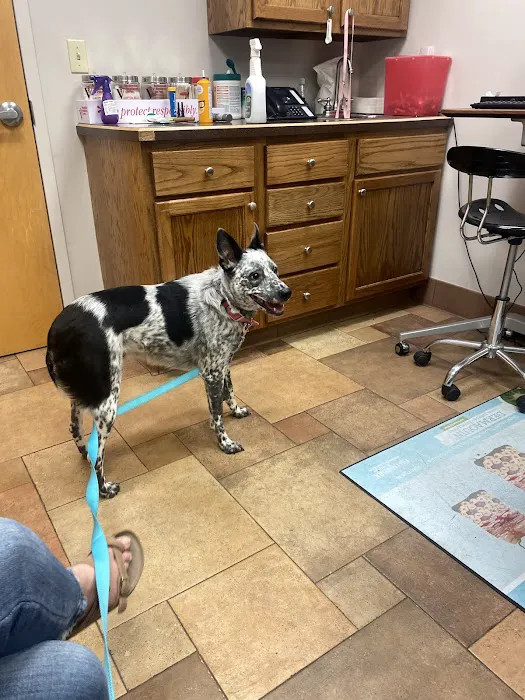 Pineview Veterinary Hospital Picture 6
