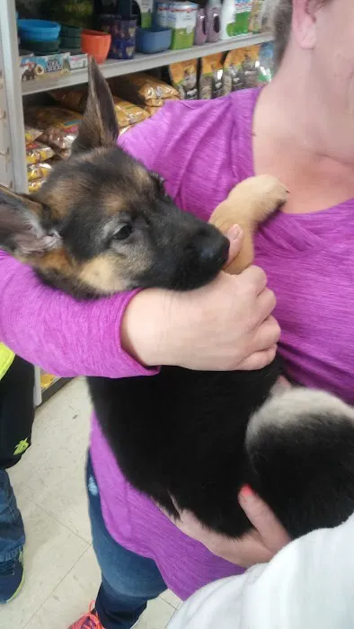 Petland Merrillville Picture 3