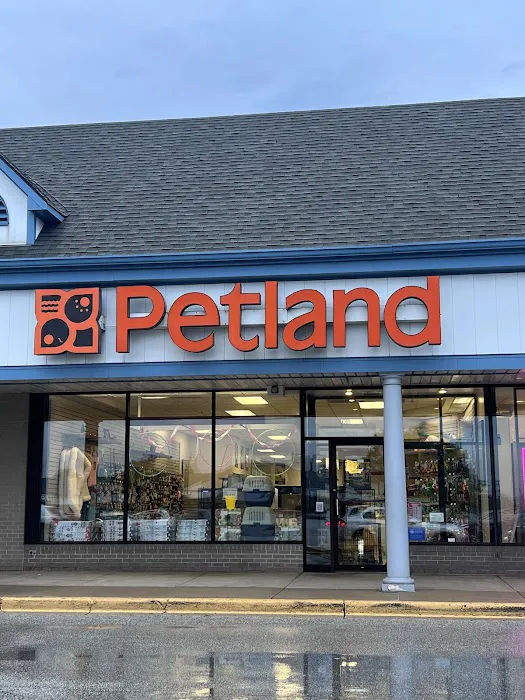 Petland Merrillville Picture 8